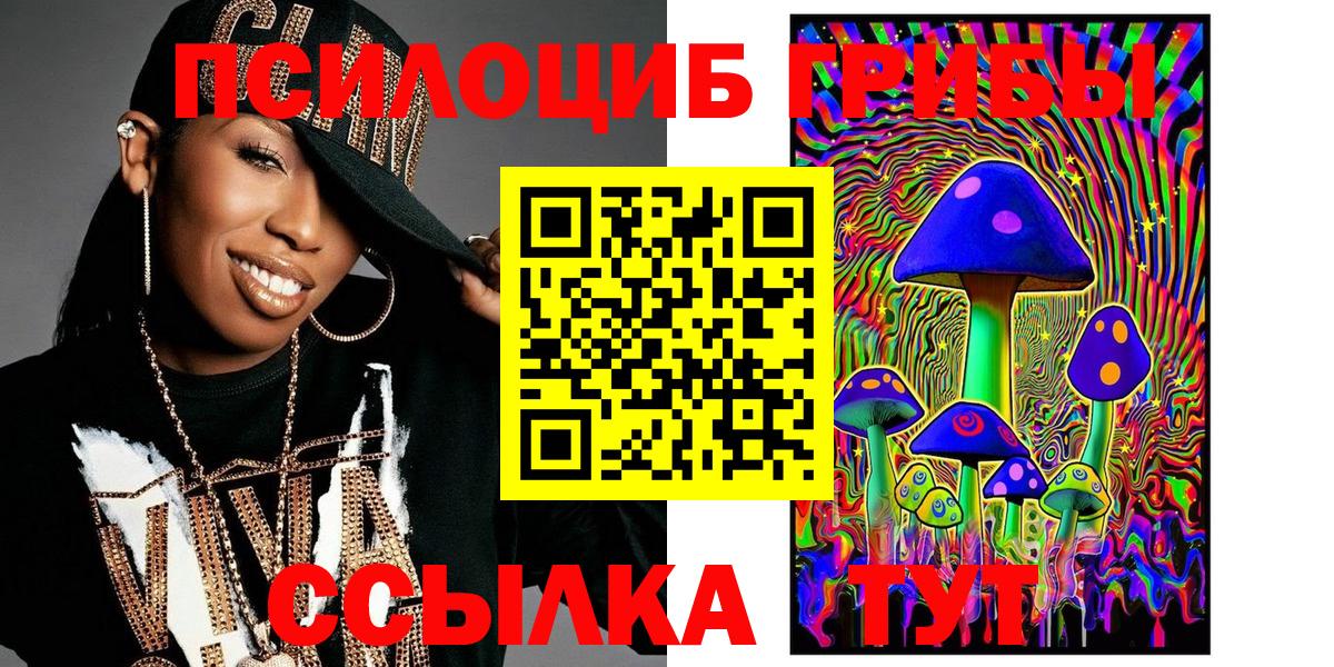 Галлюциногенные грибы Cubensis Камышин