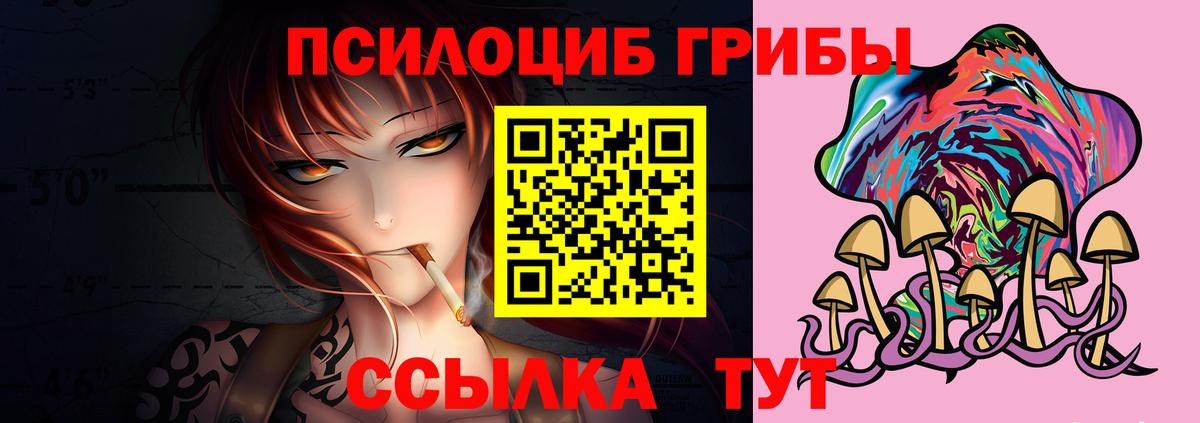 Камышин  Псилоцибиновые грибы ЛСД  Псилоцибиновые грибы мицелий  купить   Вход с VPN 